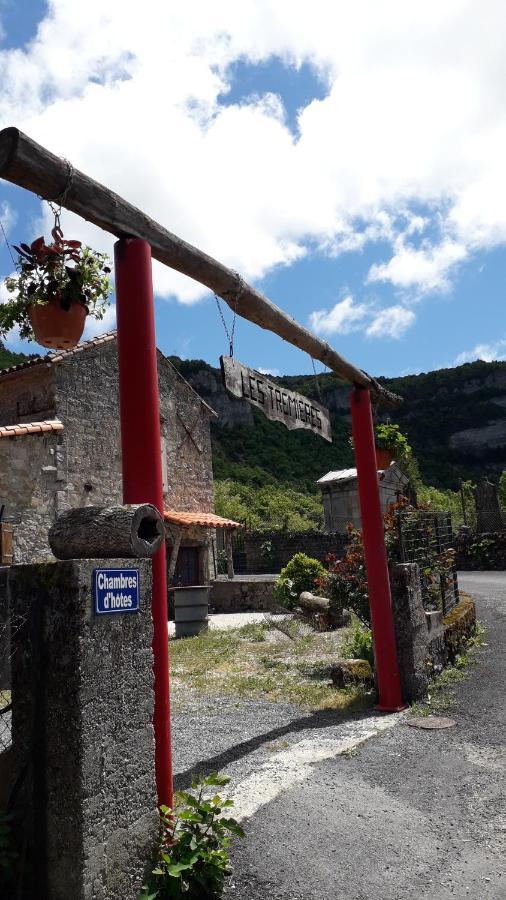 Saint-Paul-des-Fonts Les Tremieres B&B 외부 사진