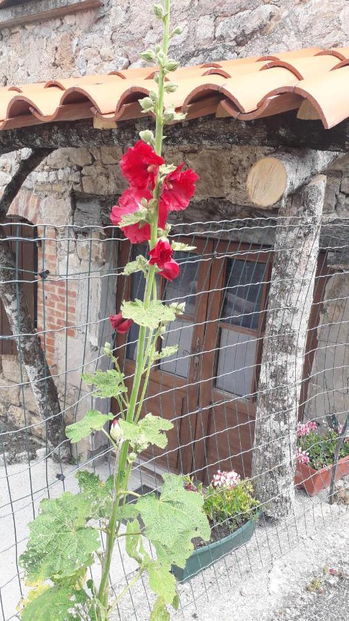 Saint-Paul-des-Fonts Les Tremieres B&B 외부 사진